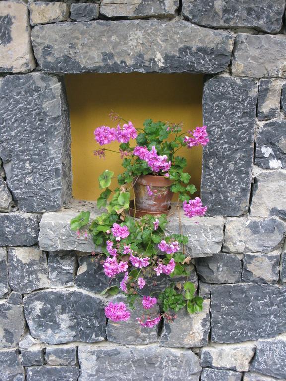 La Posada De Cucayo Dobres Exteriör bild