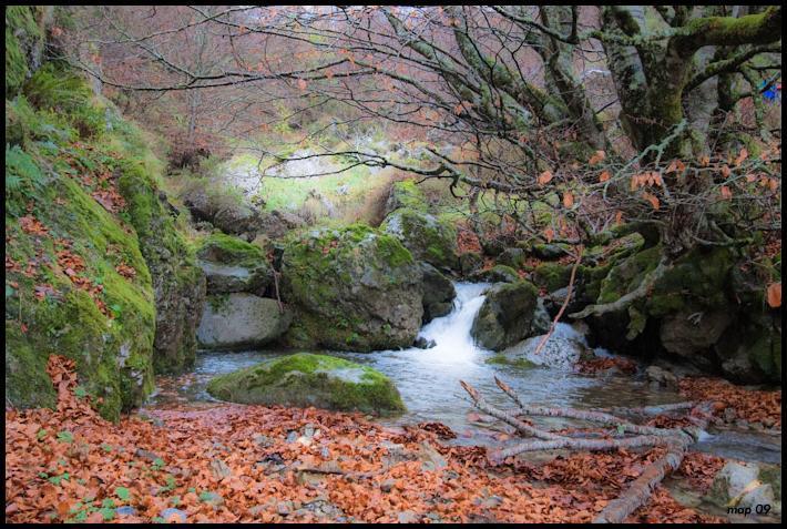 La Posada De Cucayo Dobres Exteriör bild