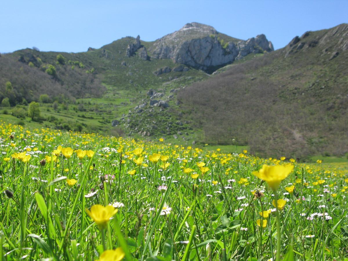 La Posada De Cucayo Dobres Exteriör bild